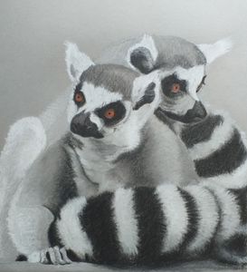 Your tail or mine