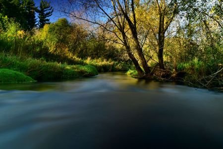 Going With the Flow