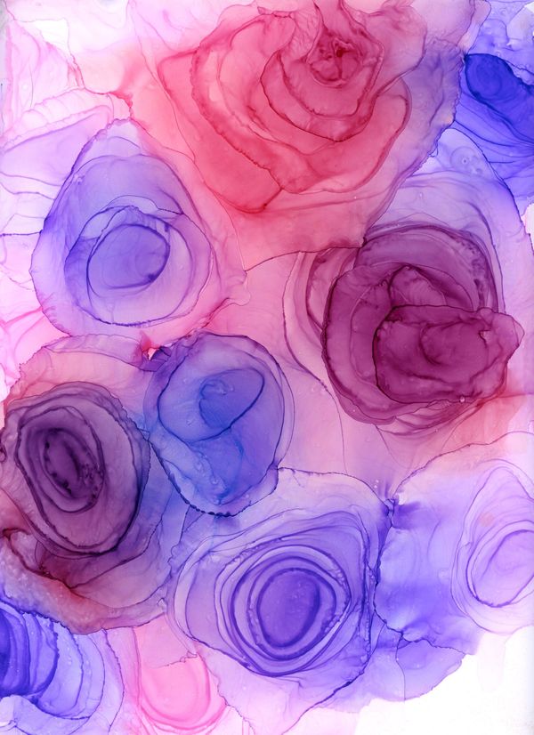 Blushing Blooms