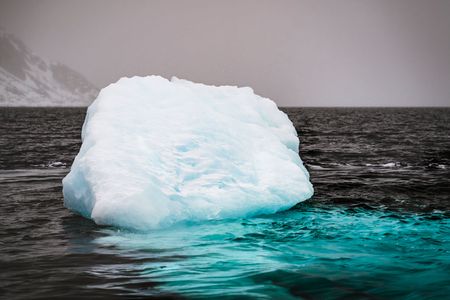 Colour In An Inky Ocean