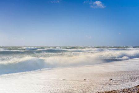 The Roar of Peaceful Day Dreaming