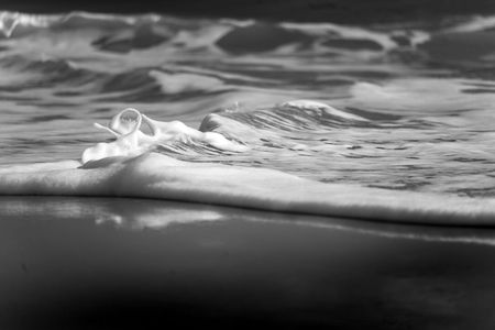 Sea Sculpture: Part 1