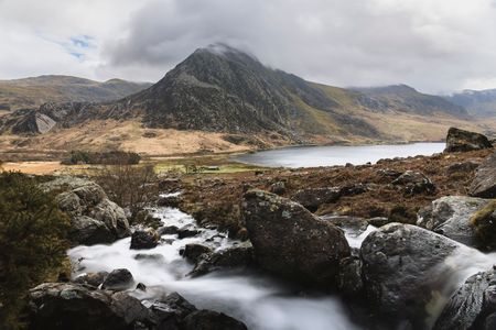 Welsh Essence 