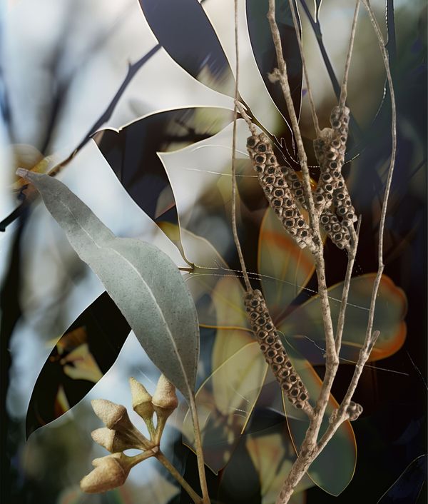 Dry Season No. 12