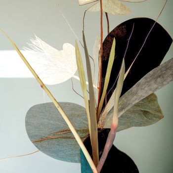 Katherine Boland