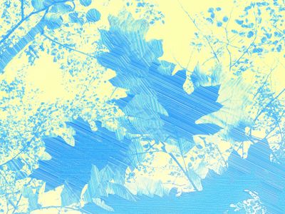 Blue Leaves