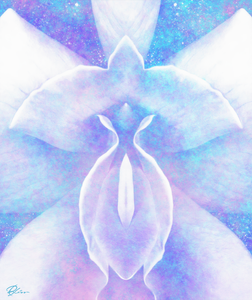 Flower 11