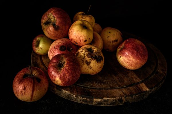 Apples Still-Life