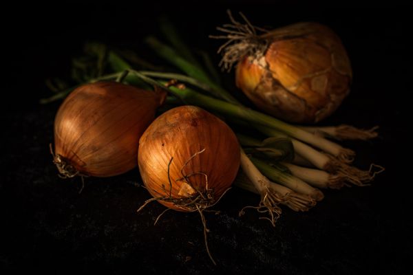 Onions Still-Life