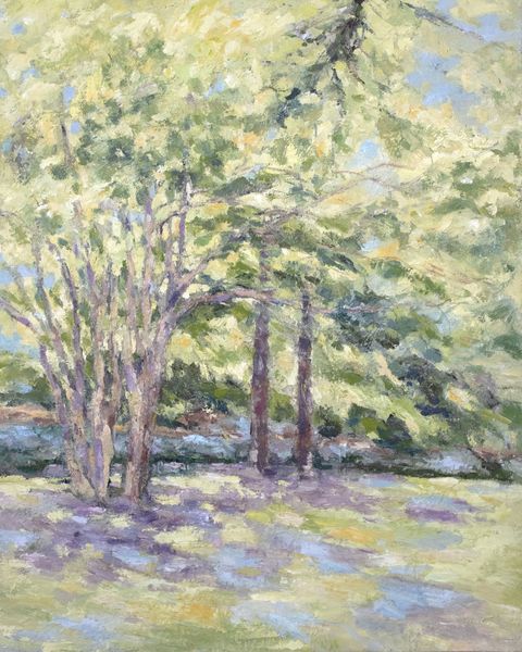 Southern Shade -Beautiful Sunlit Oak Tree