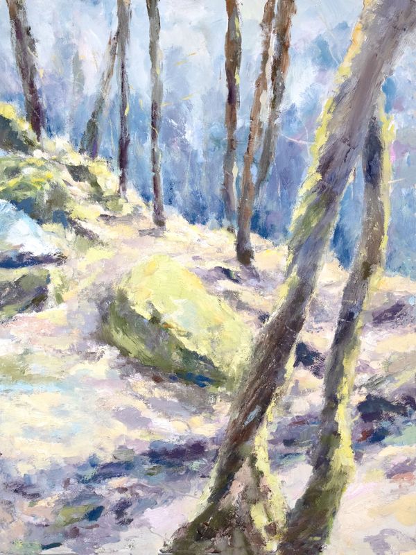 Summer Solstice - Tranquil Wooded Mountainside
