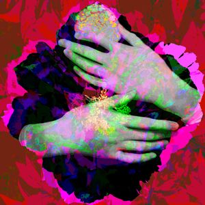Black Peony with Hands on Red