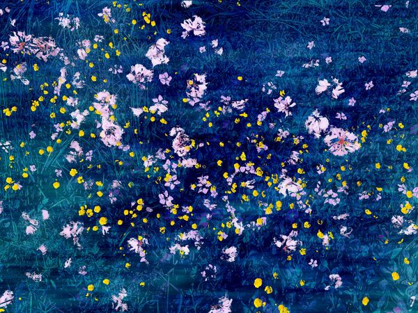 The Memory of Earth I 