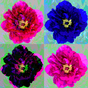 Four Peonies 2