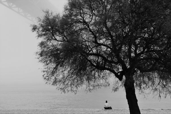 Foggy Day