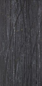 A Darkling Wood