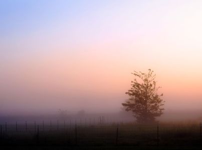 Misty Moring