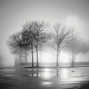 Night fog