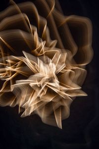 HANABI-GOLD-1