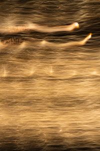 HANABI-GOLD-9