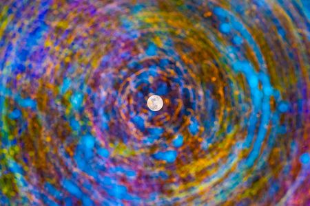 cosmos-5