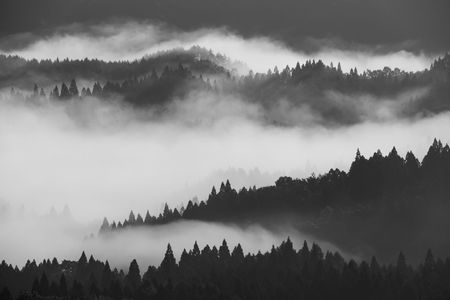 Sea Of Clouds