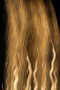 HANABI-GOLD-8