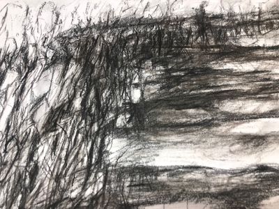 Syrinx