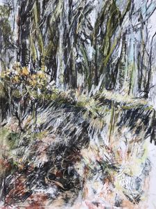 Spring in the Woods, Dartmoor.