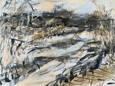 Winter at Sharpham Marsh