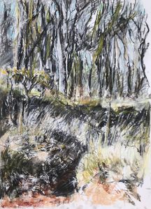 Early Spring in Woods, Dartmoor.