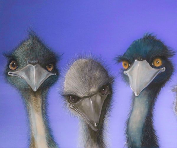Artrepreneur - Emus with attitude