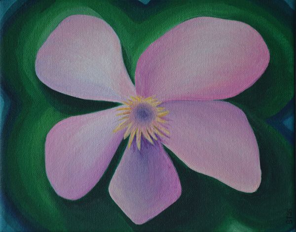 Vienna Flower