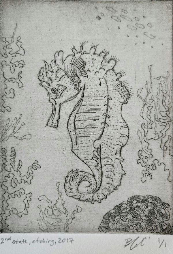 Seahorse (AP, 2nd State)