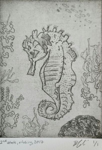 Seahorse (AP, 2nd State)