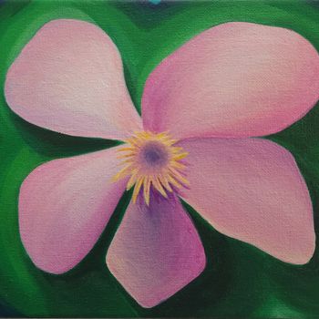 BTSS: Bernardica