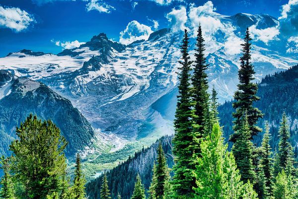Mt. Rainier from Sunrise
