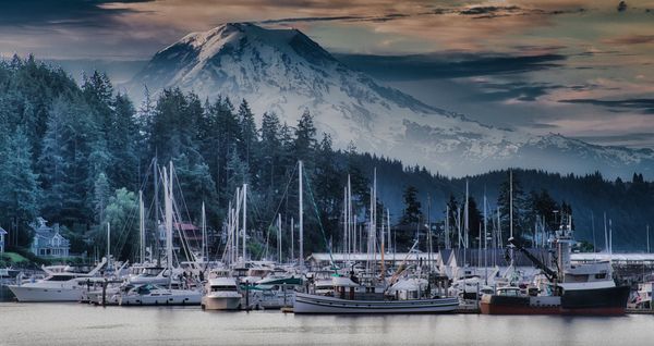 Harbor Morning