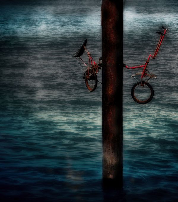 End of the Ride