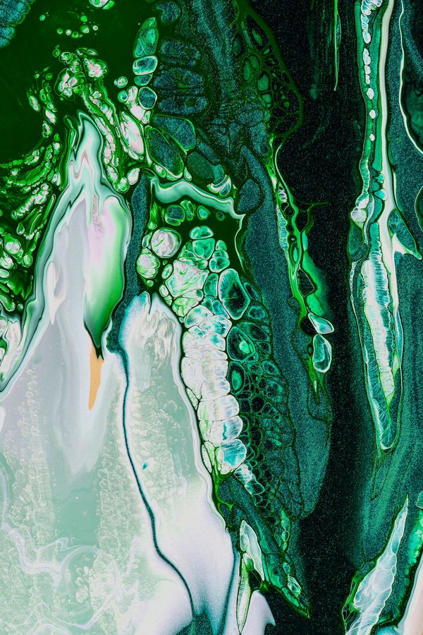 Kelp Forrest 