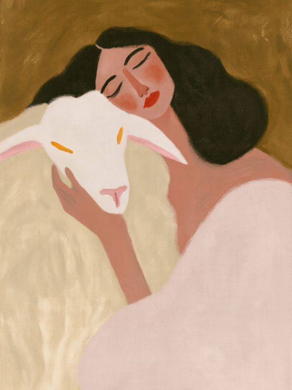 My Dear Sheep