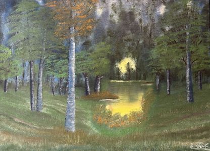 Forest Sunset