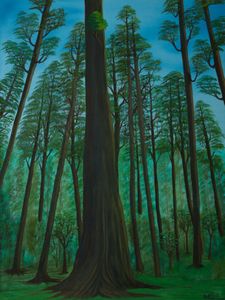 Giant Redwood