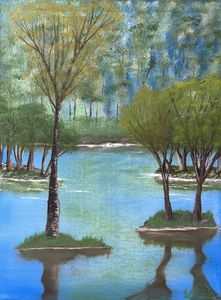 Forest Lake Islands