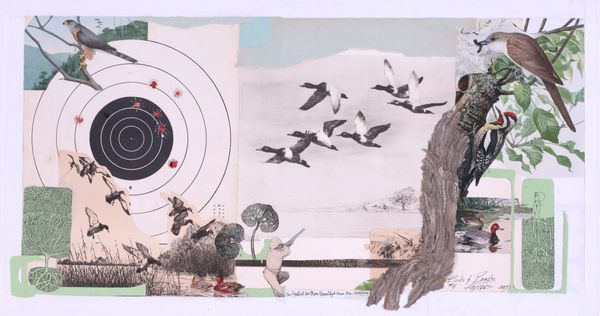 Birds & Beasts