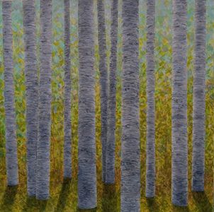 Backlit Birches