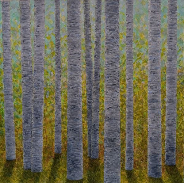Backlit Birches