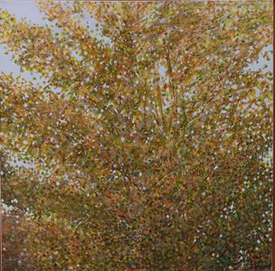 Komorebi Painting 13 - Quaking Aspen