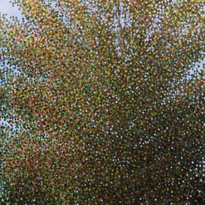 Komorebi Paintings 8 - Quaking Aspen, Summer