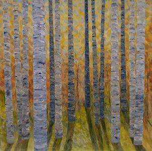 Birch Forest